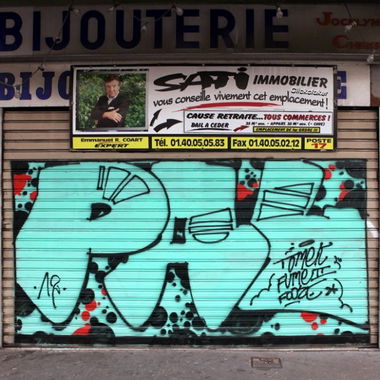 Graffiti Bombing - Photo by drkool - pal