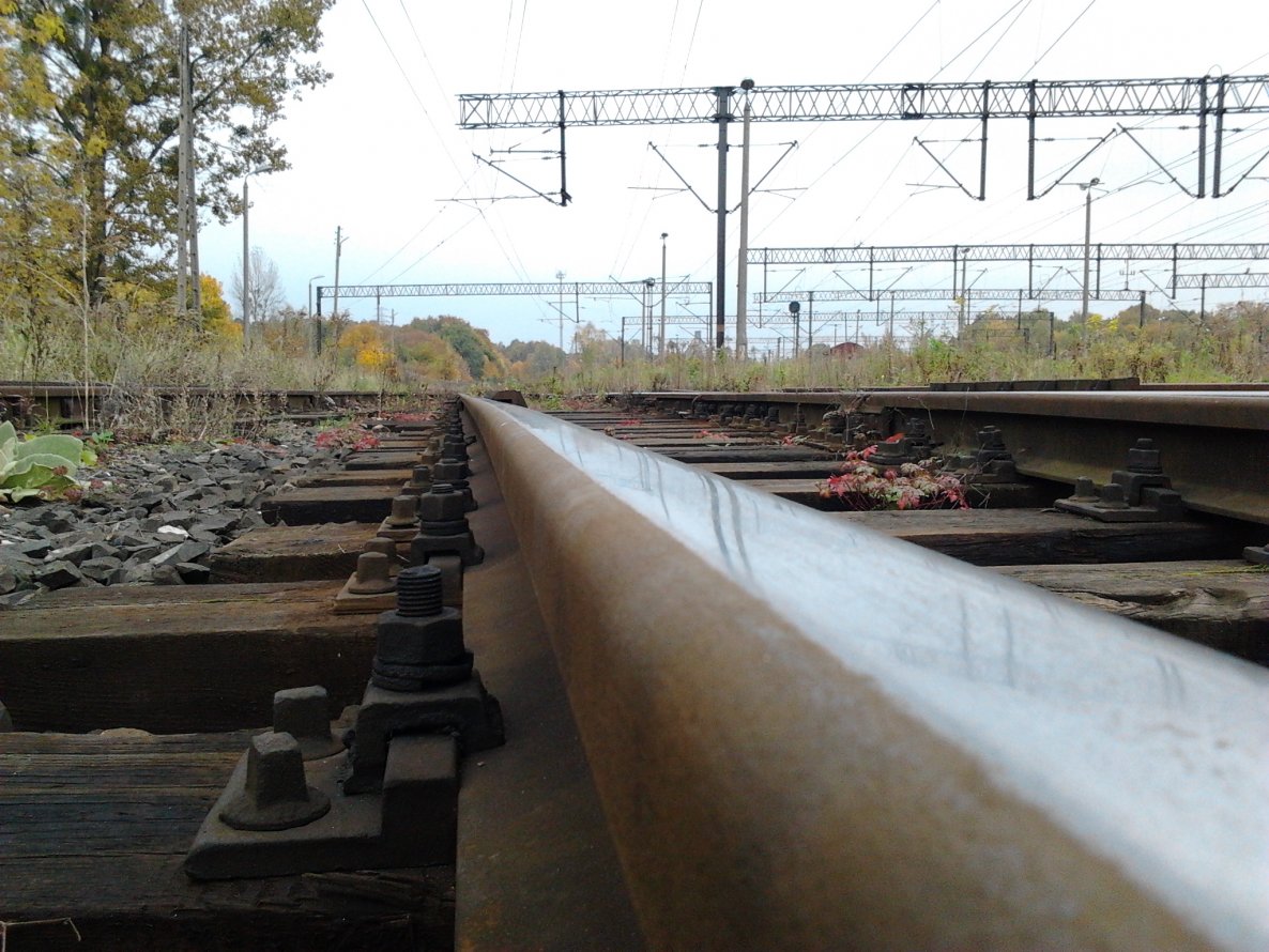 Graffiti in Olsztyn - Photo by dsmcrew - train, line, graffiti (2013)