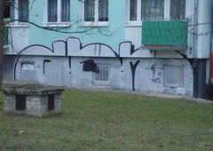 Photo #230106 by Belt