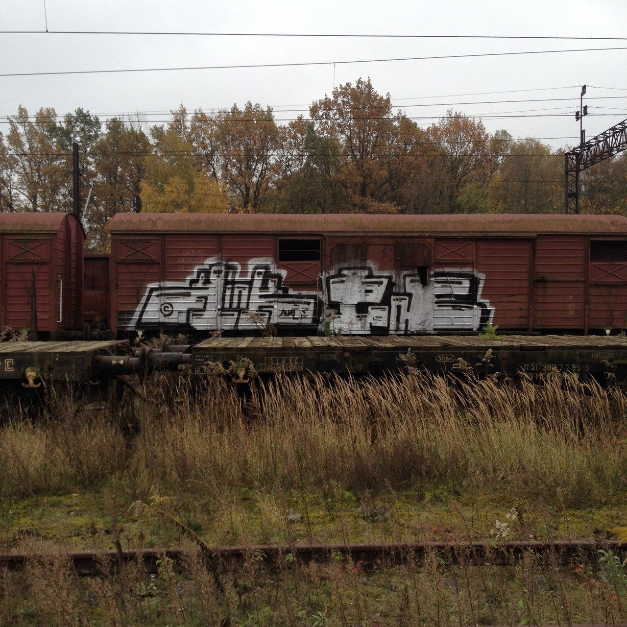 Graffiti Train in Olsztyn - Photo by dsmcrew - olsztyn, kink, pone27 (2013)