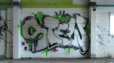 Graffiti Bombing - Photo by dumberone