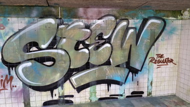 Graffiti Bombing - Photo by dumberone