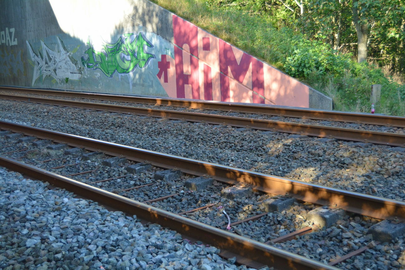 Graffiti Bombing - Photo by dumberone