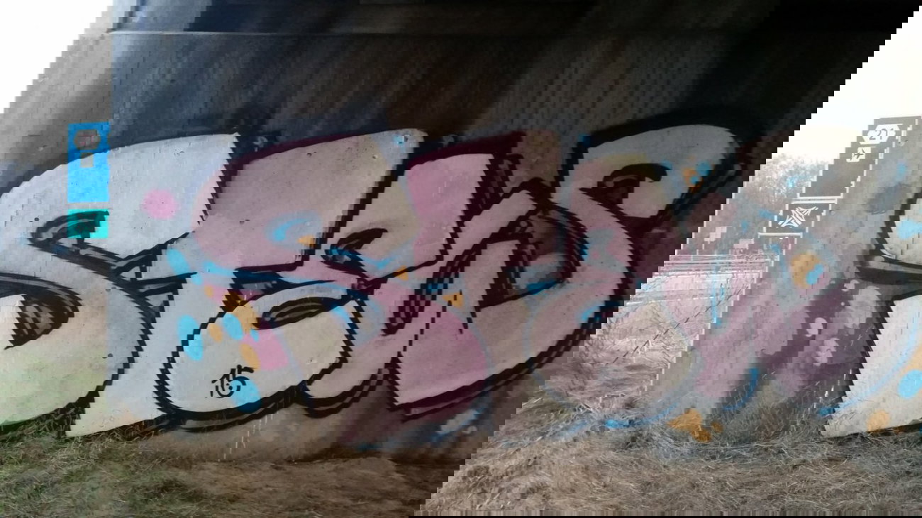 Graffiti Bombing - Photo by dumberone