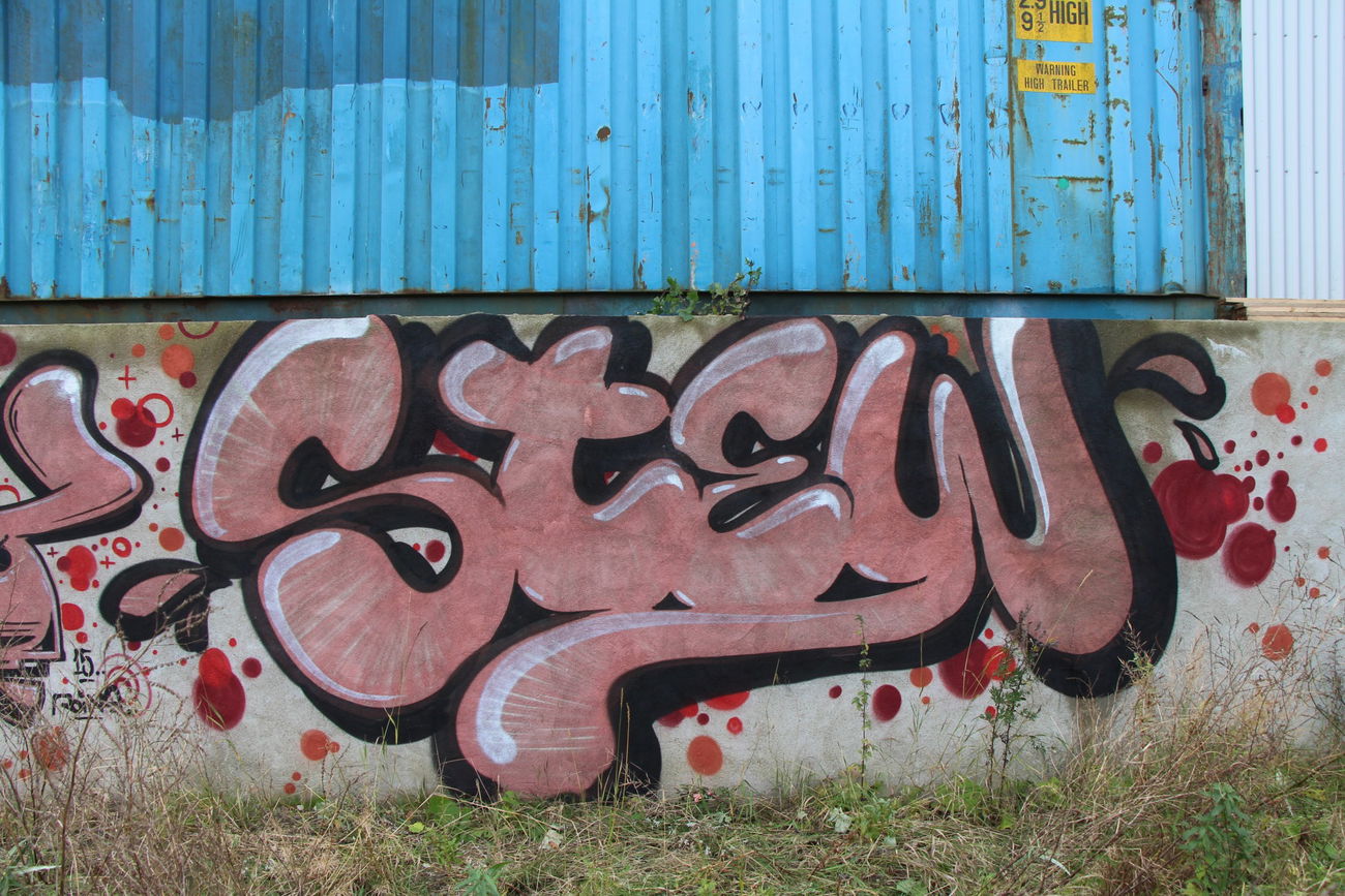 Graffiti Bombing - Photo by dumberone