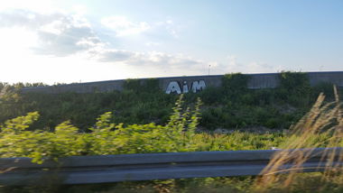 Graffiti Bombing - Photo by dumberone
