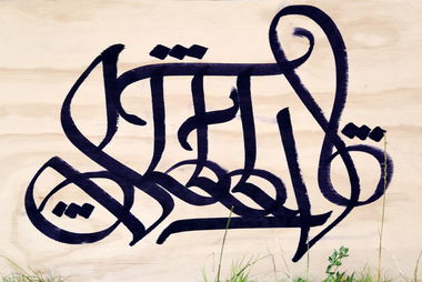 Graffiti Bombing - Photo by dumberone