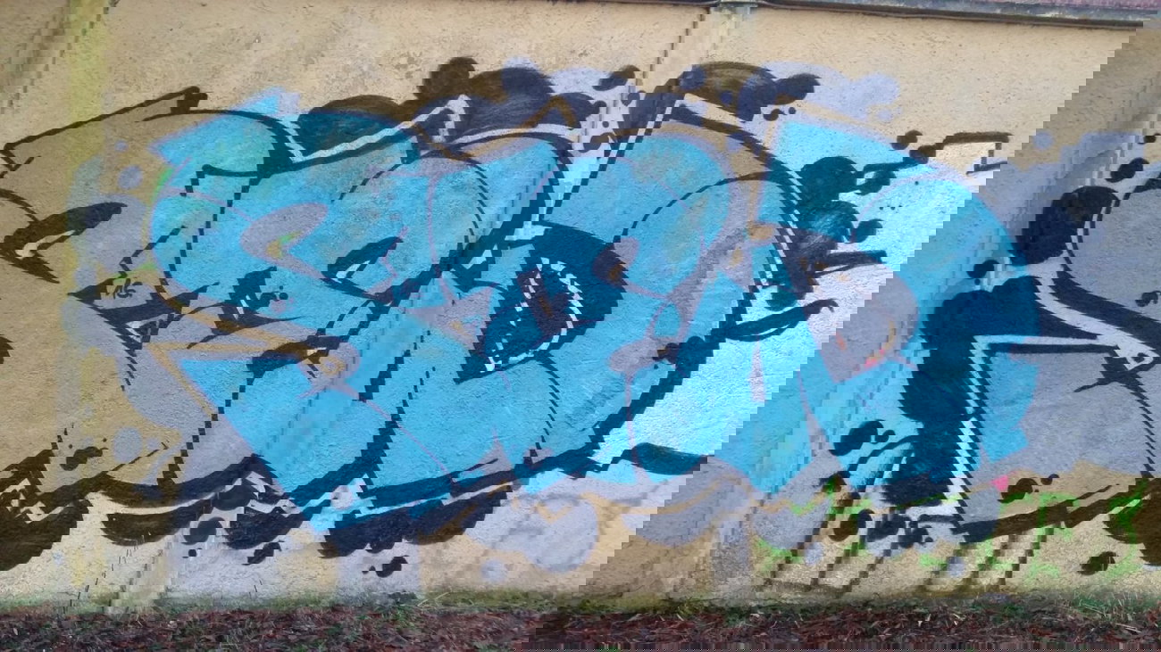 Graffiti Bombing - Photo by dumberone