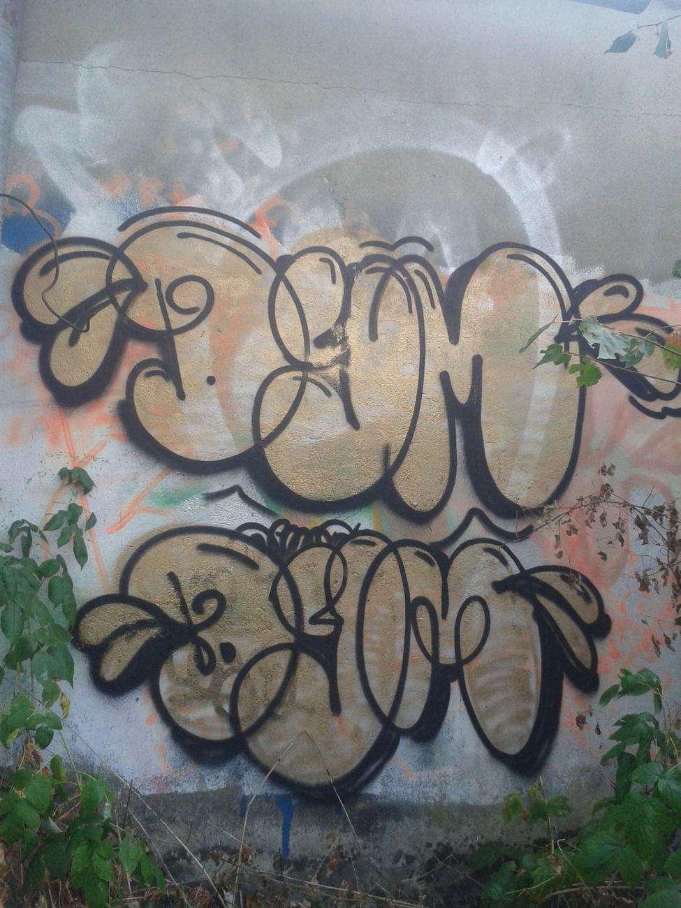 Graffiti Bombing - Photo by dymsoon (2015)