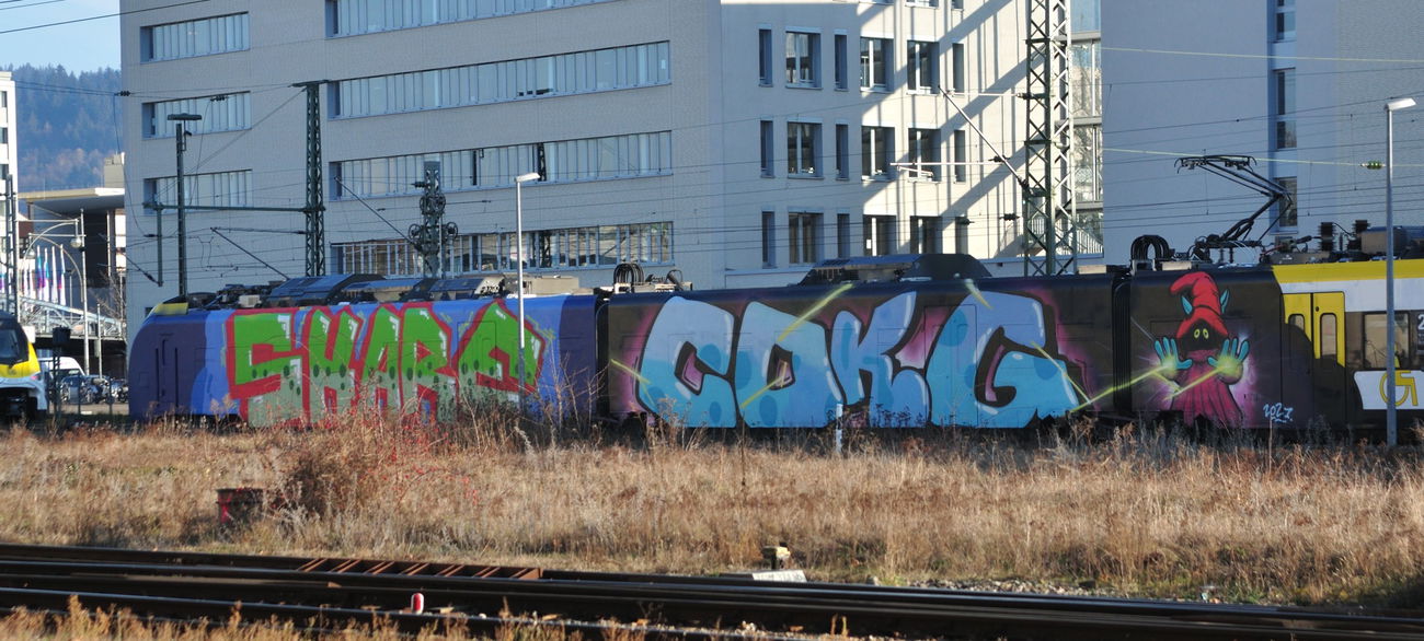 Graffiti Wall in Freiburg im breisgau - Photo by dynavap - share, cokg (2021)