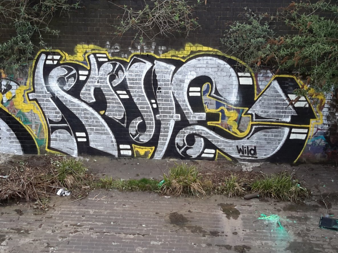 Graffiti Bombing - Photo by dzik - Haye!, Wild