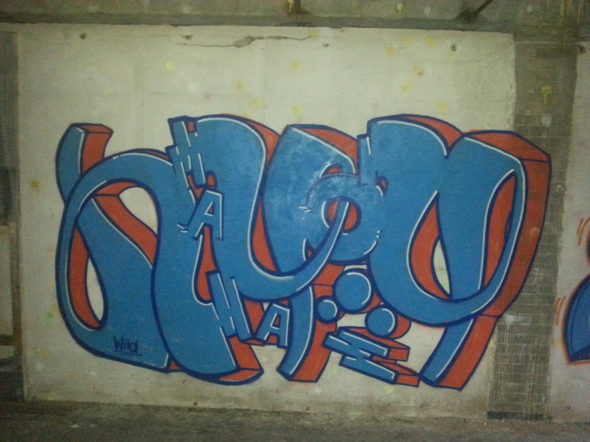 Graffiti Wall - Photo by dzik - Wild, hjg, hayog