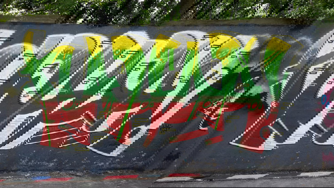 Graffiti Wall - Photo by dzik - Wild, hayog