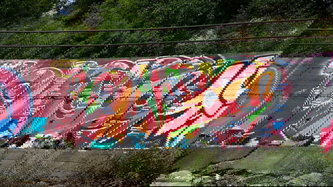 Graffiti Wall - Photo by dzik - hayog, wild