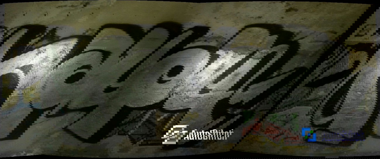 Graffiti Wall - Photo by dzik - hayog, wild