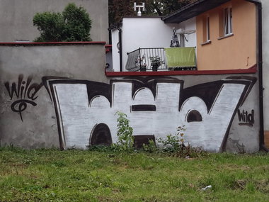 Graffiti Wall - Photo by dzik - Wild, cru