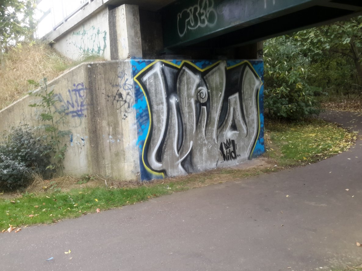 Graffiti Wall - Photo by dzik - Wild, Crew