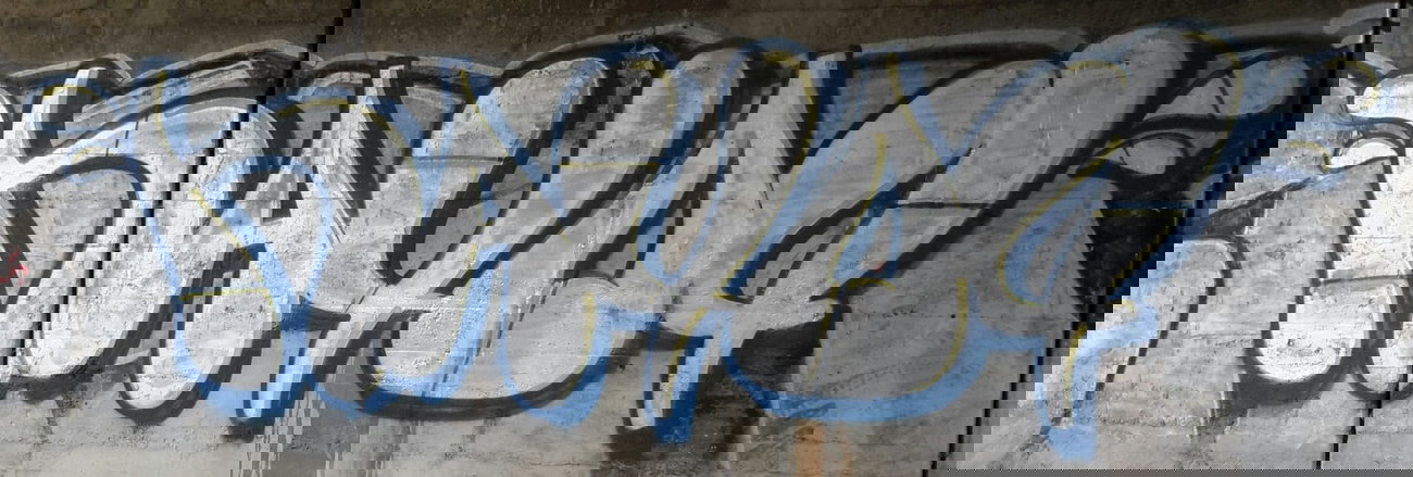 Graffiti Bombing - Photo by dzik - hayog, wild