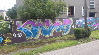 Graffiti Wall - Photo by dzik - hayog, wild