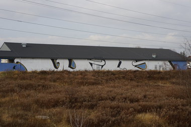 Graffiti Bombing - Photo by dzik - WILD, CREW