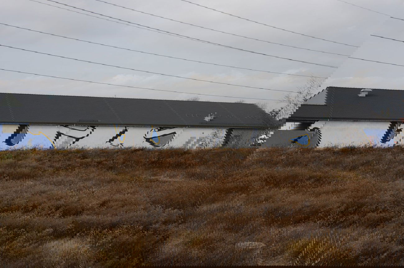 Graffiti Bombing - Photo by dzik - WILD, CREW