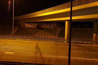 Graffiti Bombing - Photo by dzik - WILD, CREW