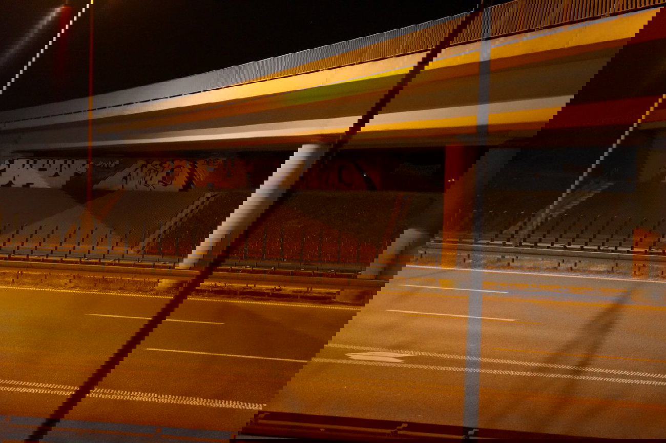 Graffiti Bombing - Photo by dzik - WILD, CREW