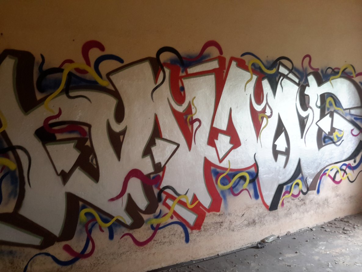 Graffiti Wall - Photo by dzik - hayog, wild