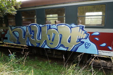 Graffiti Train - Photo by dzik - hayog, wild