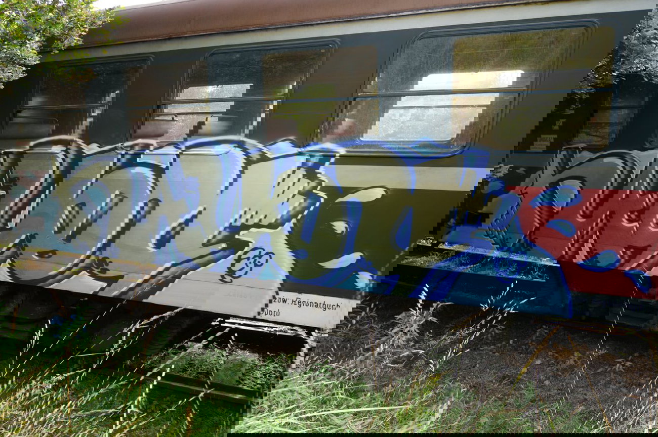Graffiti Train - Photo by dzik - hayog, wild