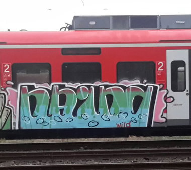 Graffiti Train - Photo by dzik - hayog, wild