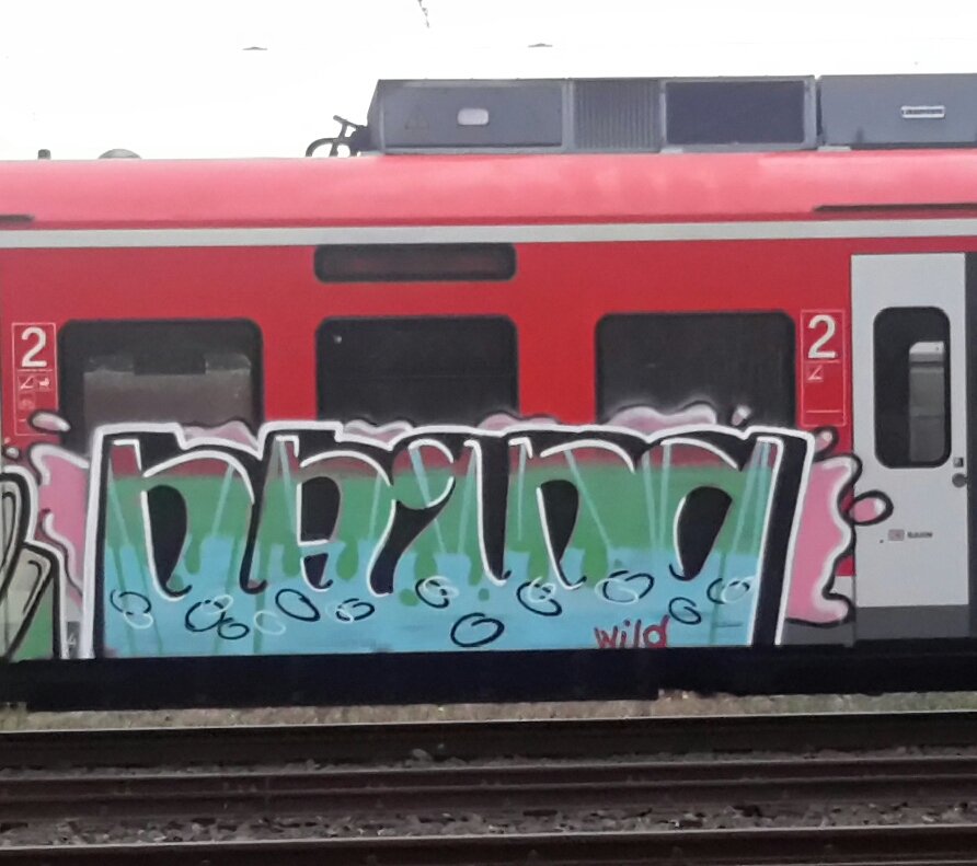 Graffiti Train - Photo by dzik - hayog, wild