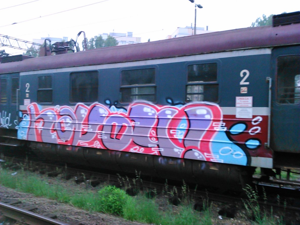 Graffiti Train - Photo by dzik - hayog, wild