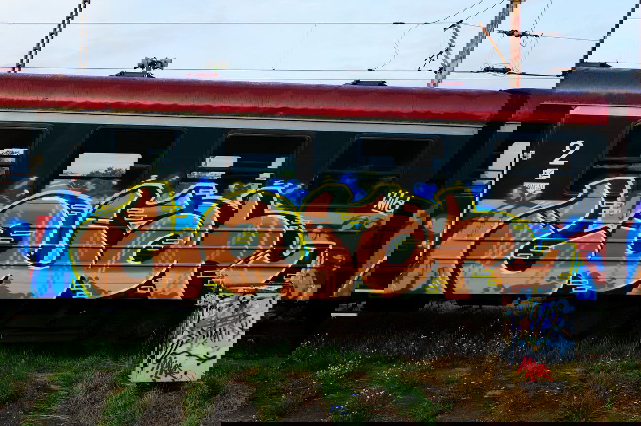 Graffiti Train - Photo by dzik - gojah, wild