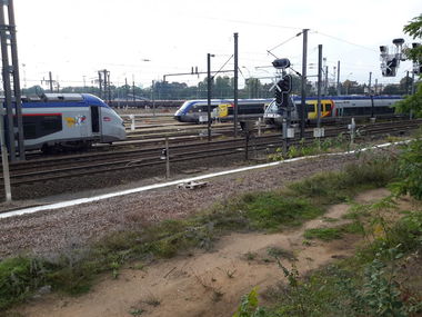 Graffiti Artwork - Photo by dzik - France