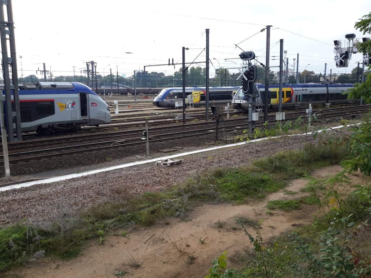 Graffiti Artwork - Photo by dzik - France