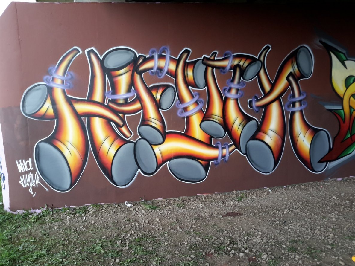 Graffiti Wall - Photo by dzik - Hajok, Wild