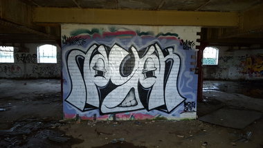 Graffiti Wall - Photo by dzik - Wild, Gsm, Hayok