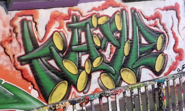 Graffiti Wall - Photo by dzik - Haje, Wild