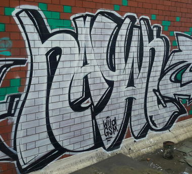 Graffiti Bombing - Photo by dzik - Hayok, Wild, Gsm
