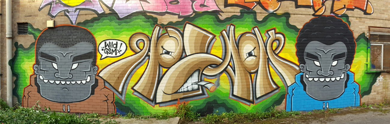 Graffiti Wall - Photo by dzik - Hajok, Pyski, Wild
