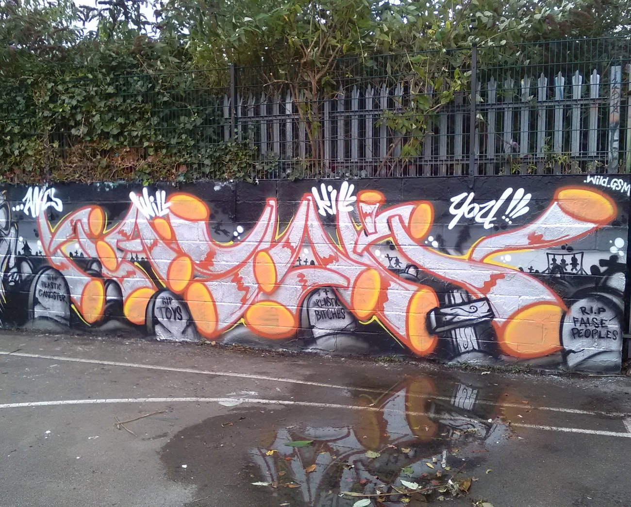 Graffiti Wall - Photo by dzik - Wild, Gsm, Hajok