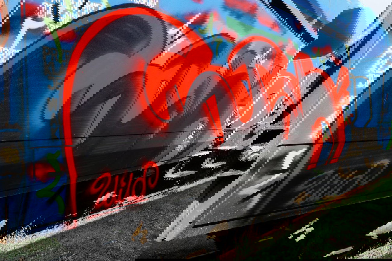 Graffiti Train - Photo by dzik - Gojah, Wild, Crew