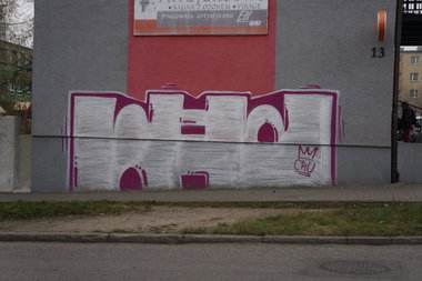 Graffiti Bombing - Photo by dzik - Wild, Crew