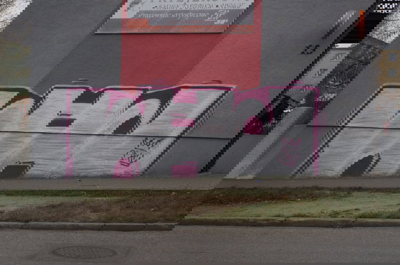 Graffiti Bombing - Photo by dzik - Wild, Crew