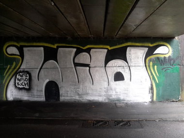 Graffiti Bombing - Photo by dzik - Wild, crew