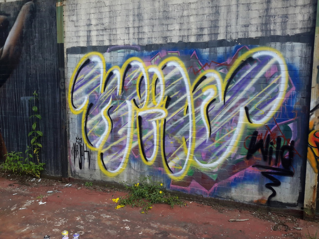 Graffiti Wall - Photo by dzik - Wild, hajok