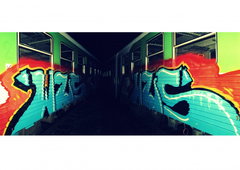 Photo #47934 by Belt