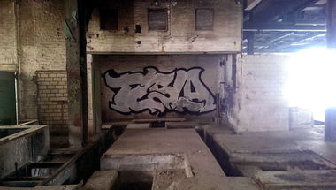 Graffiti Bombing - Photo by edding3000 - tesla (2014)