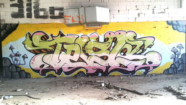 Graffiti Wall - Photo by edding3000 - tesla (2014)